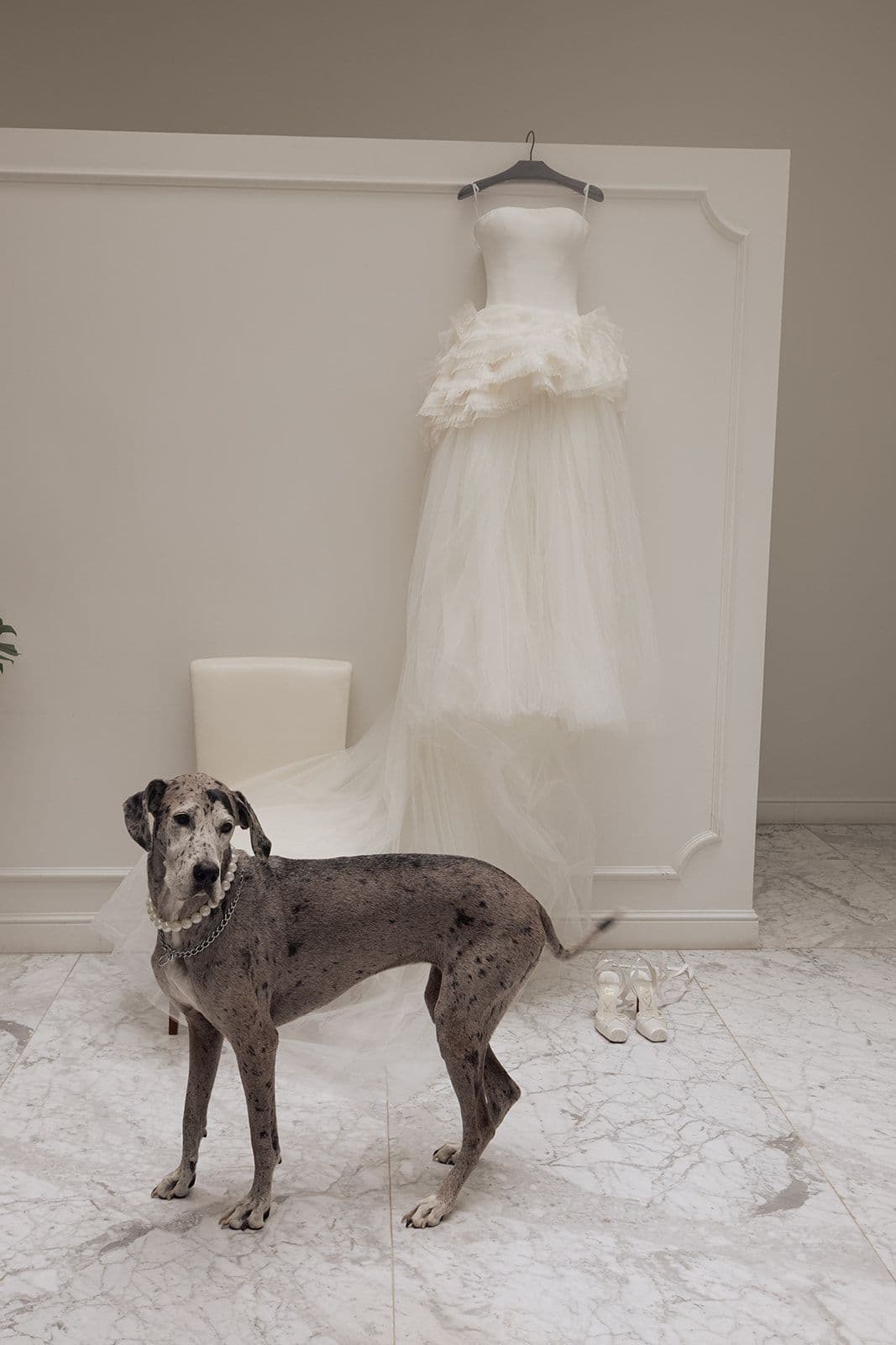 vestido boda Vera Wang