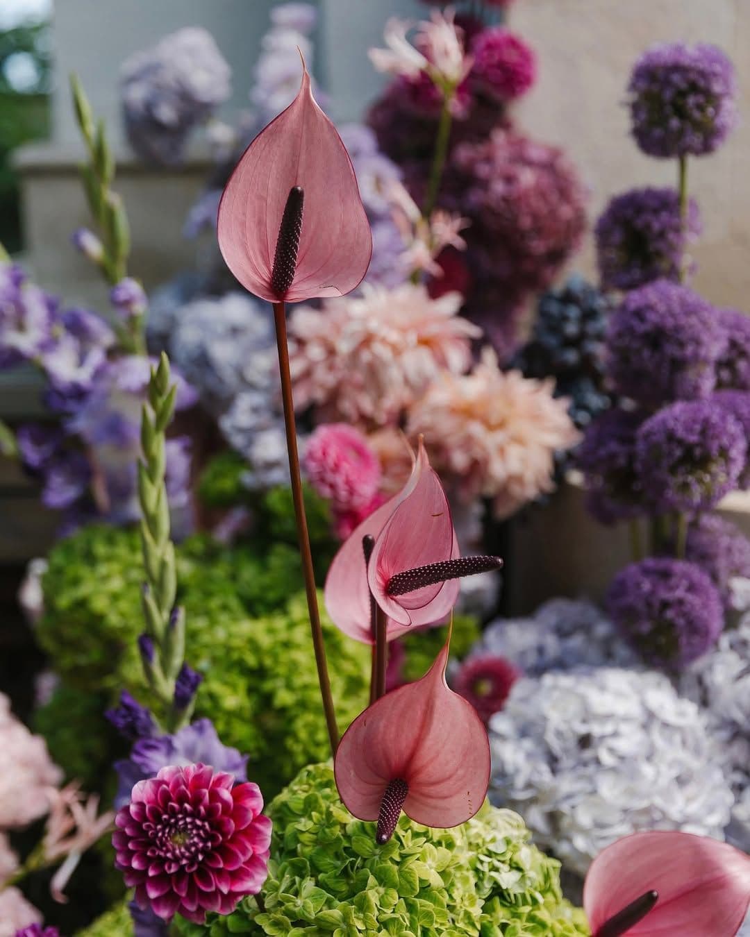 bodas lavanda