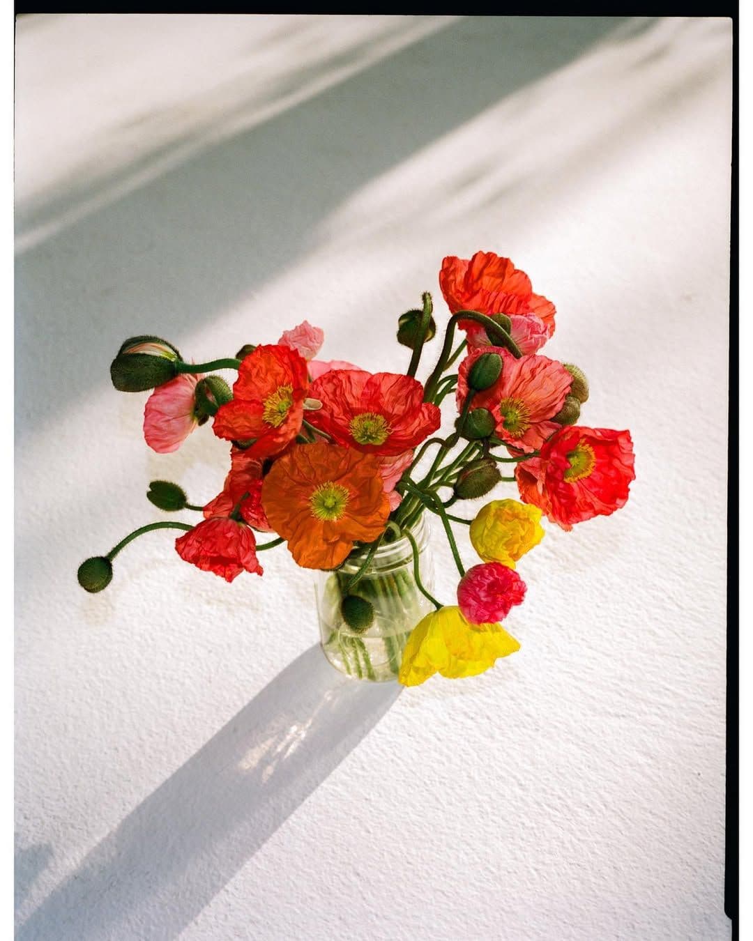 que hacer despues del anillo