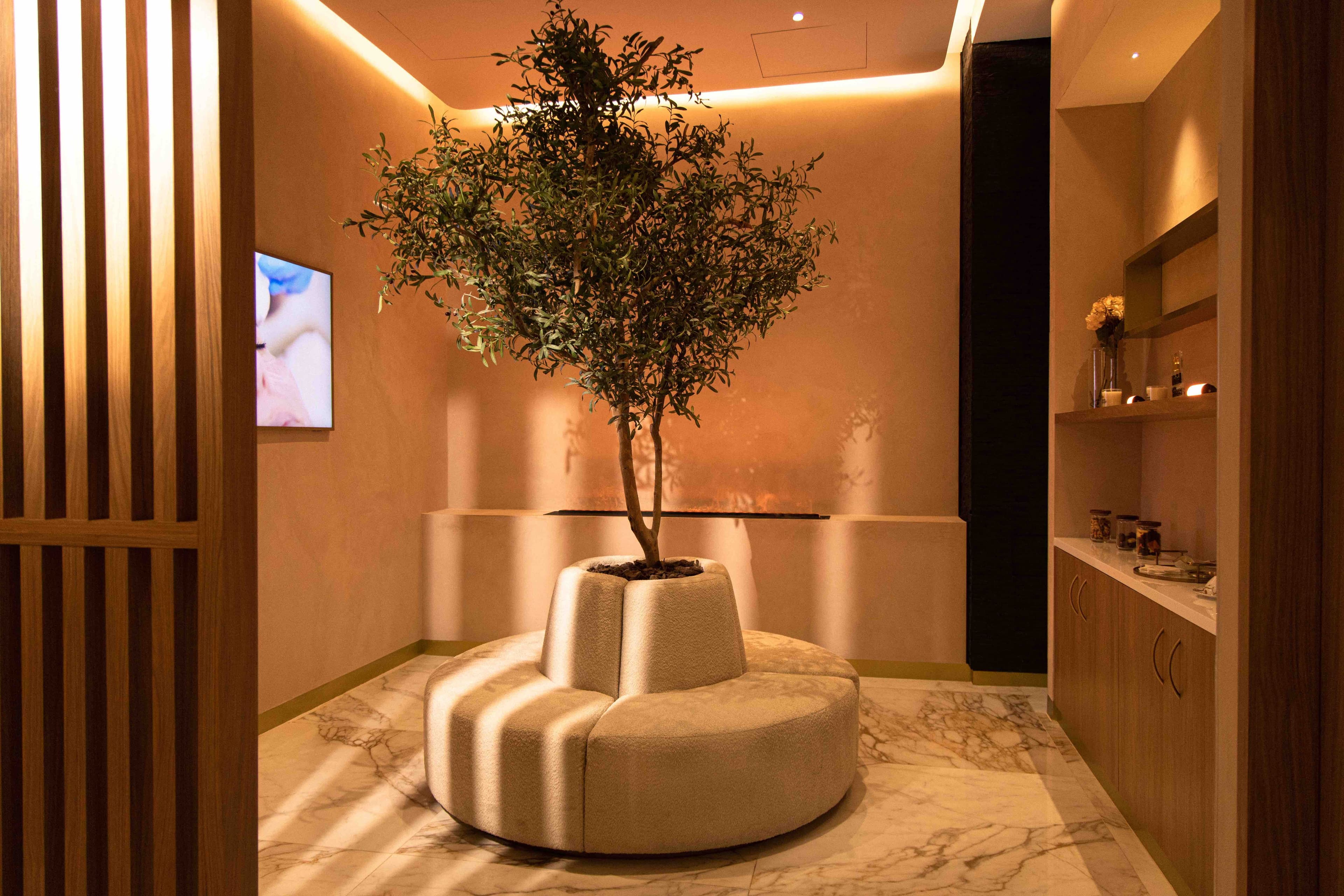 spa maribel yebenes en mexico palacio de hierro