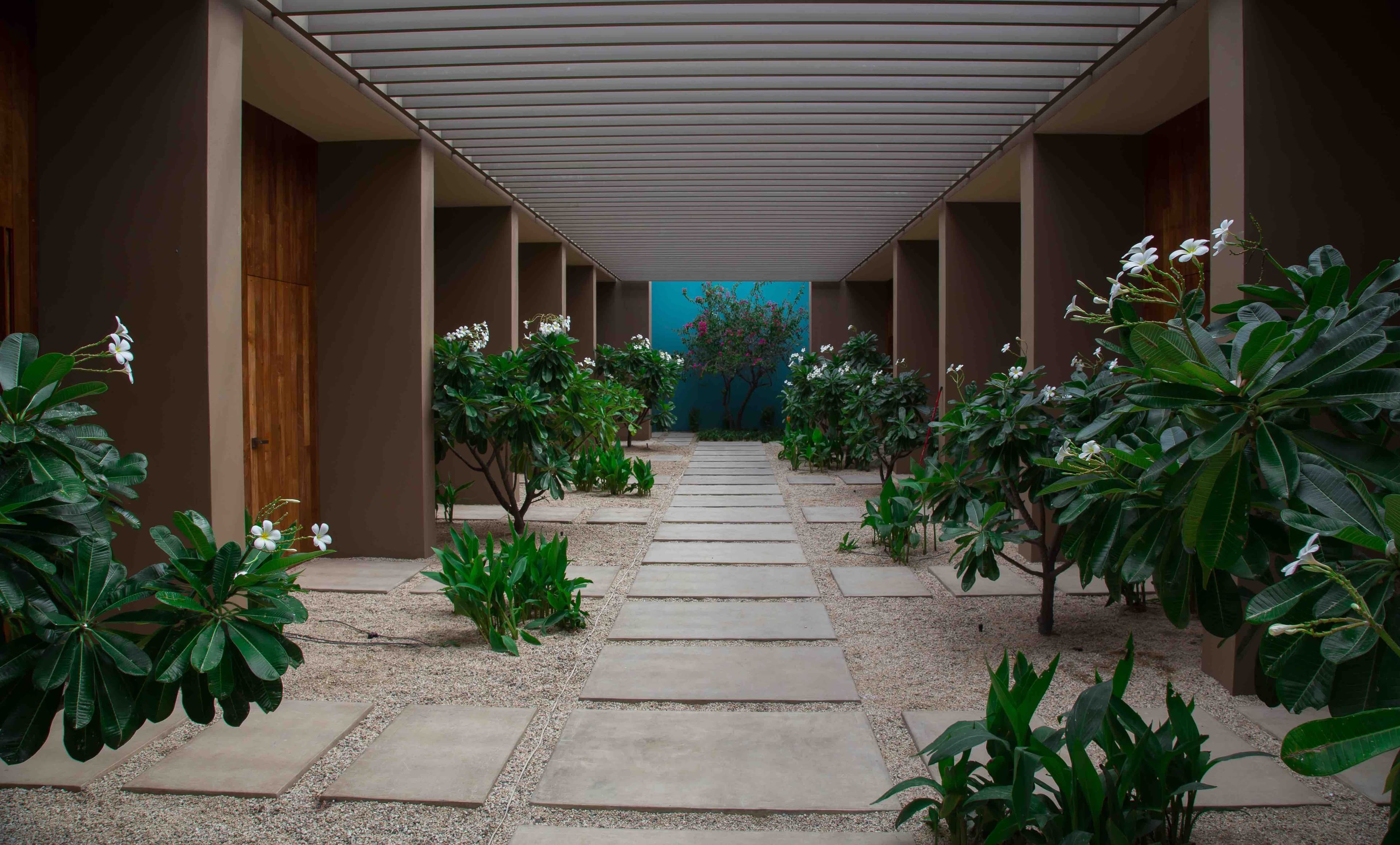 jw-marriott-los-cabos-beach-resort-and-spa