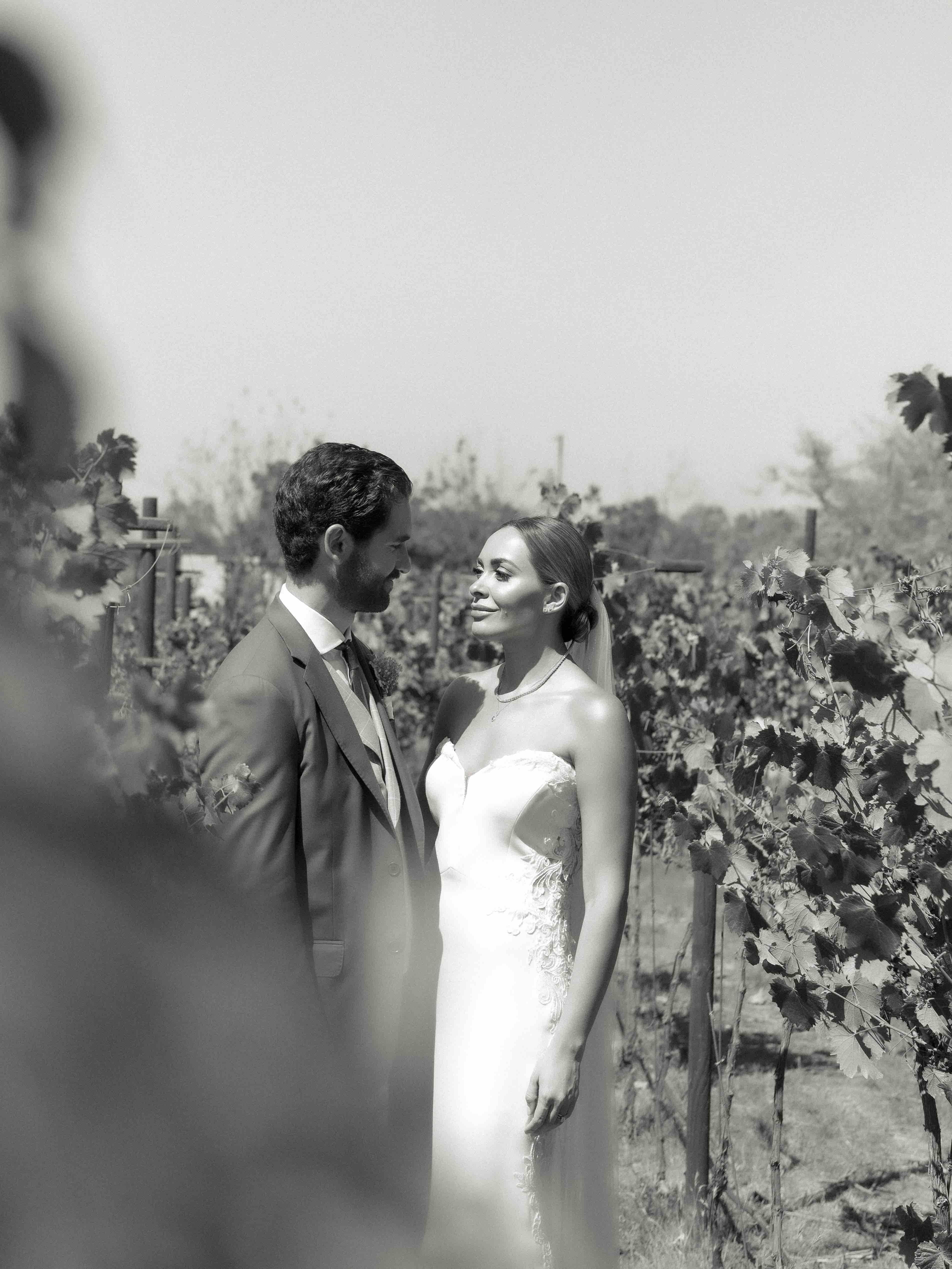 boda moni leon y joselo valle de guadalupe