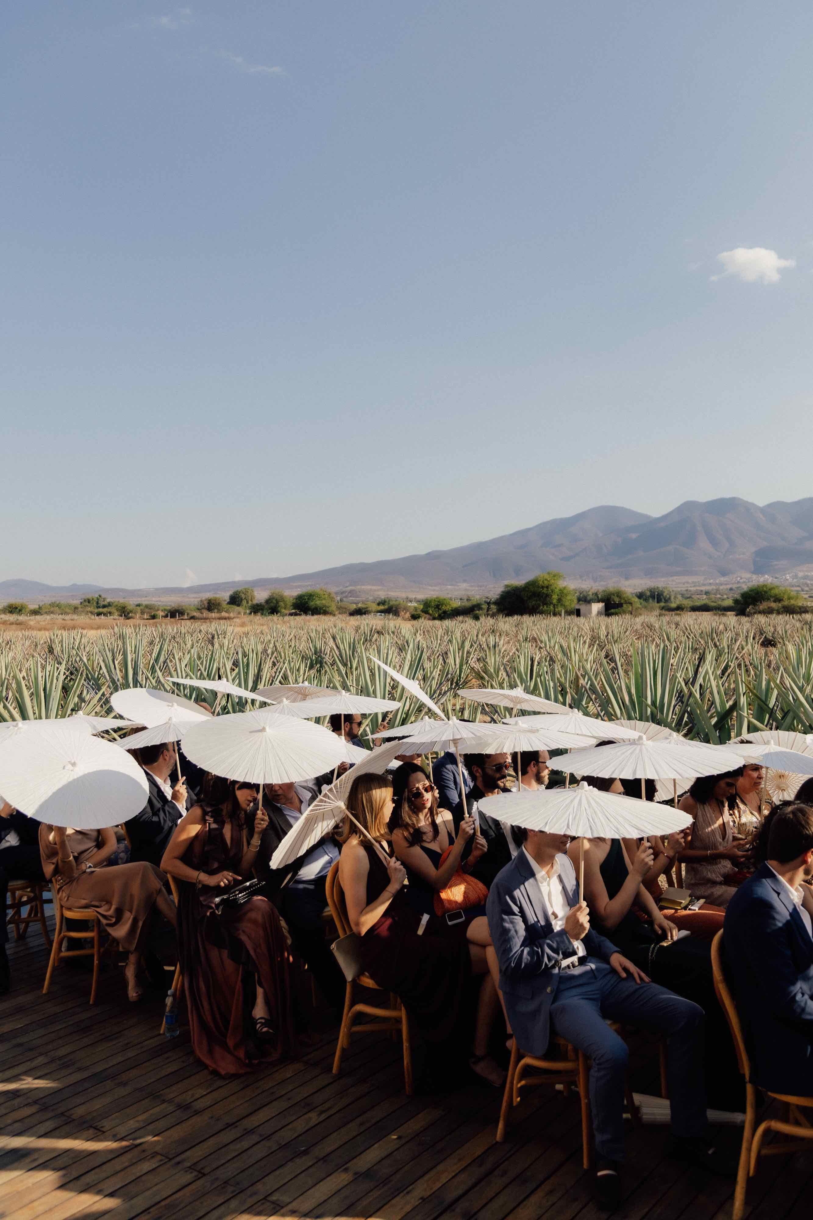 boda en Oaxaca diseño