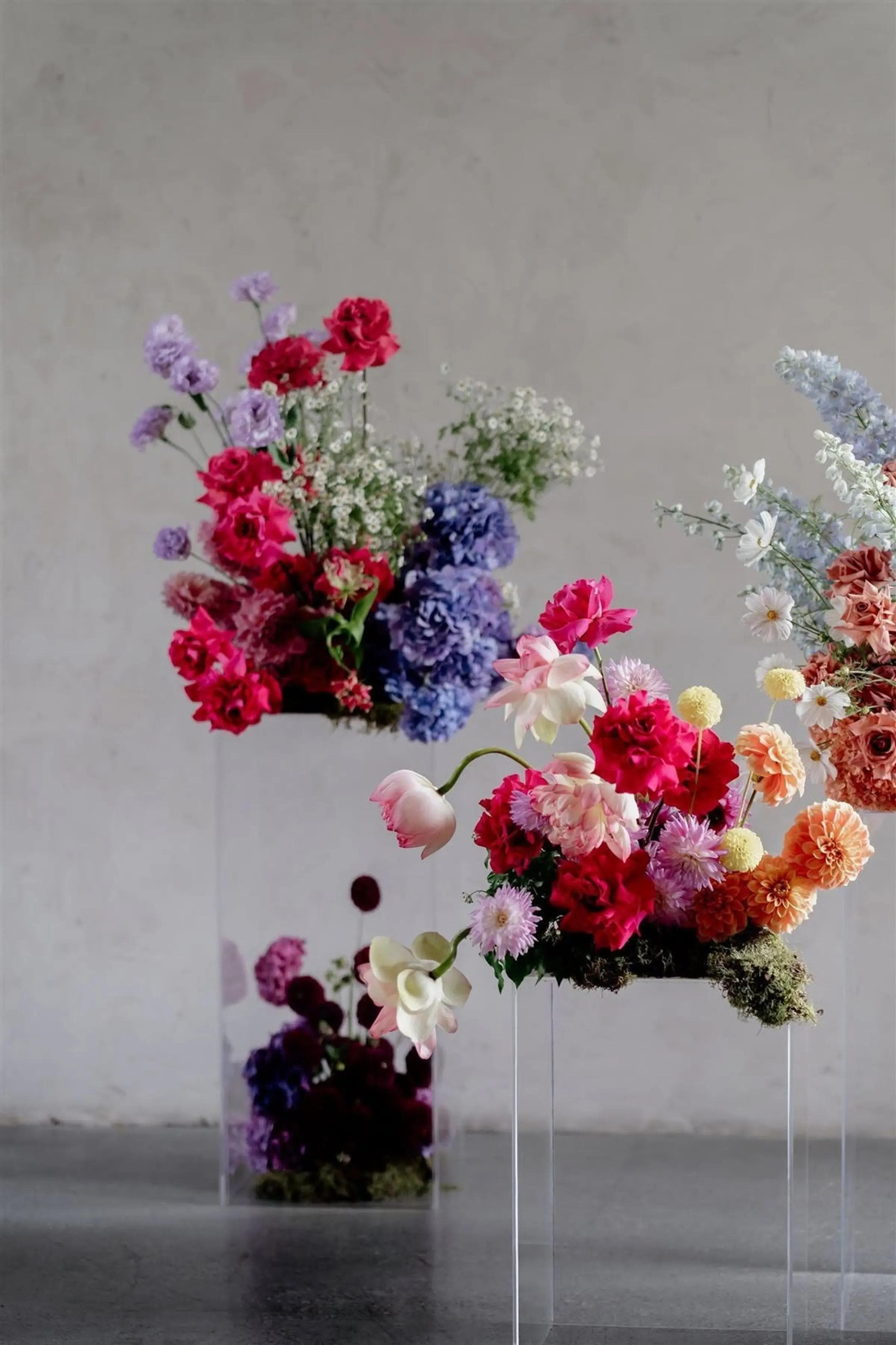 flores de colores intensos