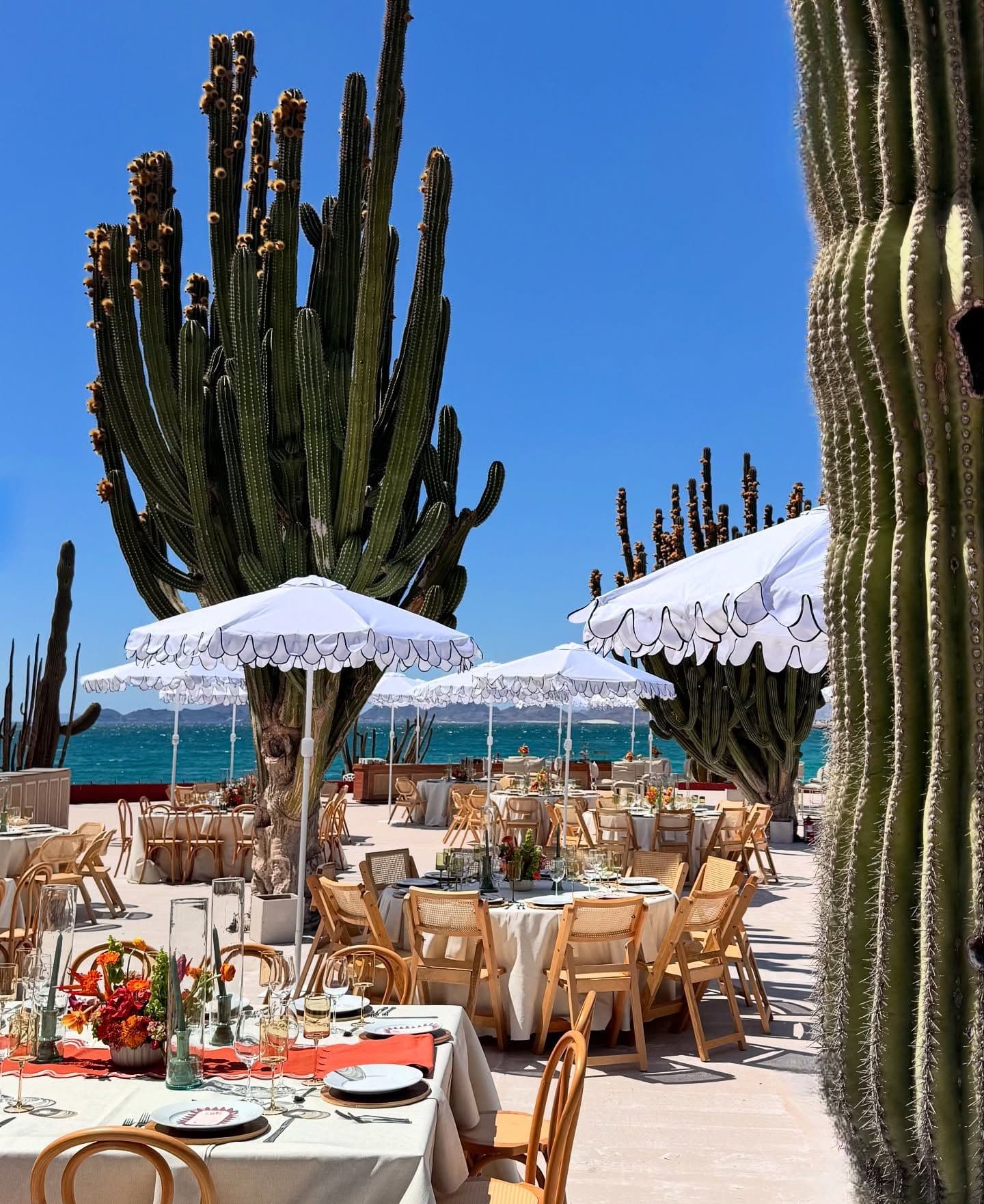 mejroes wedding planners en mexico