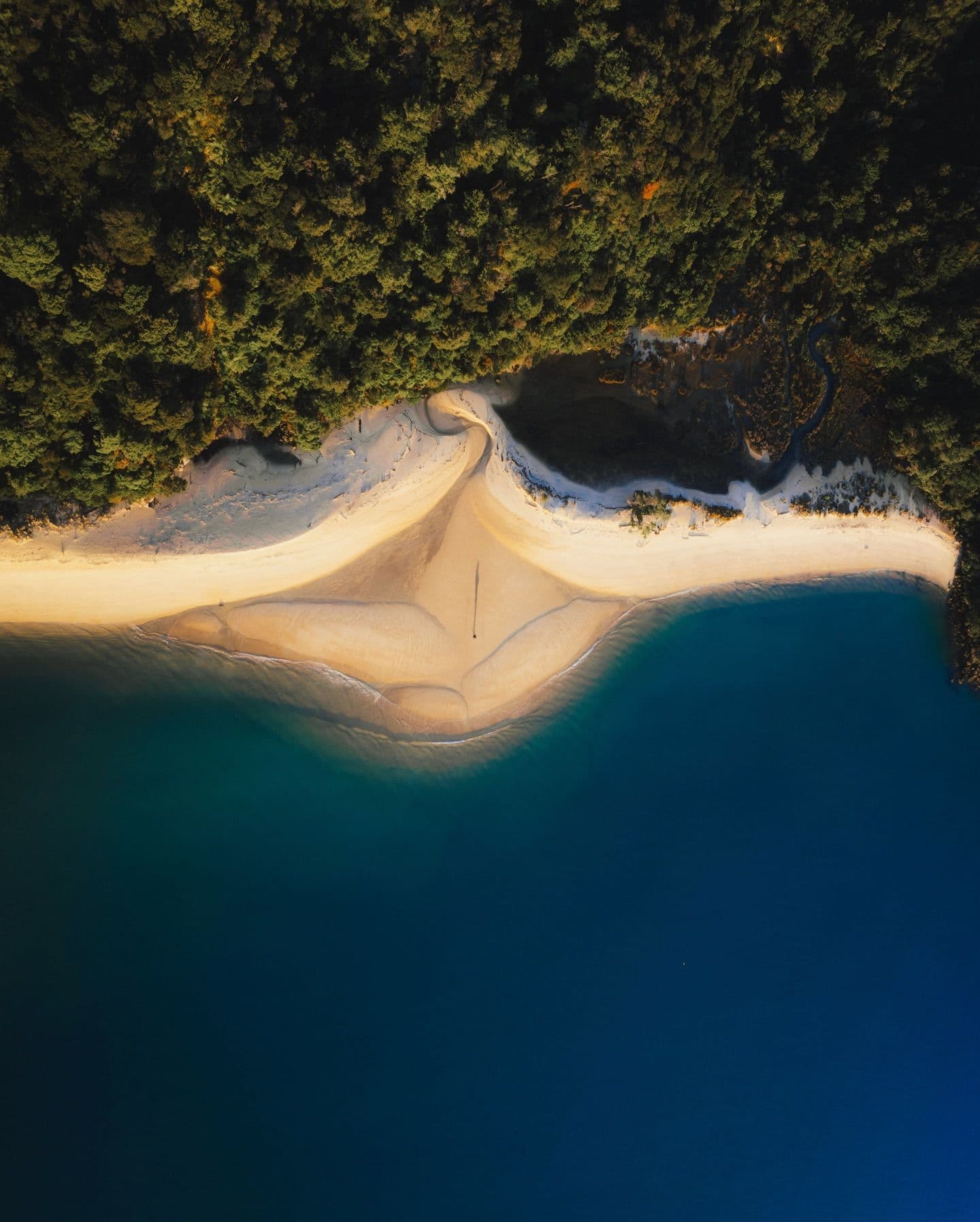nueva zelanda luna de miel mundial pais