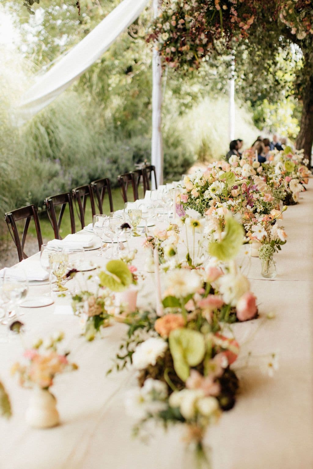 Florencia-lopez-sebastian-guara-Rancho las Animas