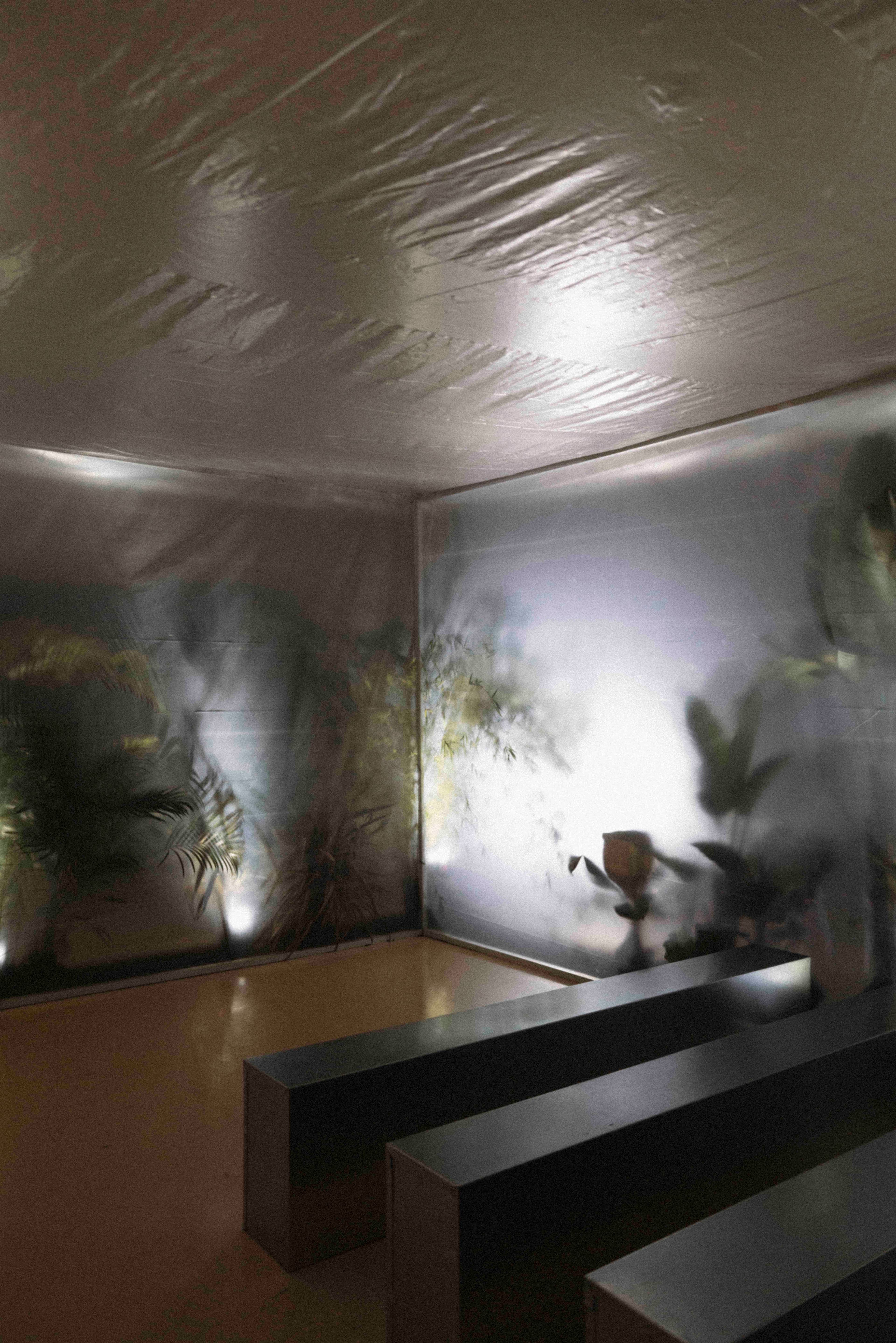 boda inmersiva plantas carnivoras