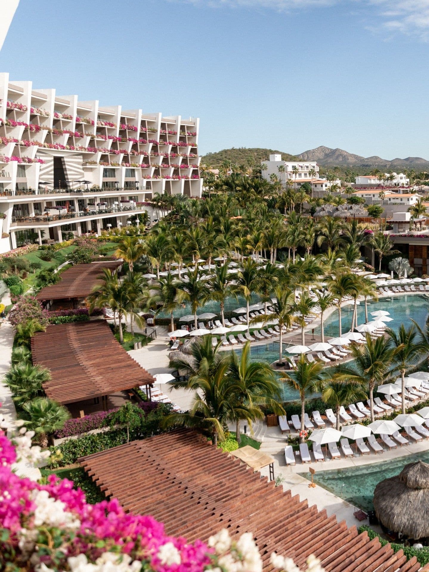 Gand vela los cabos tripadvisor