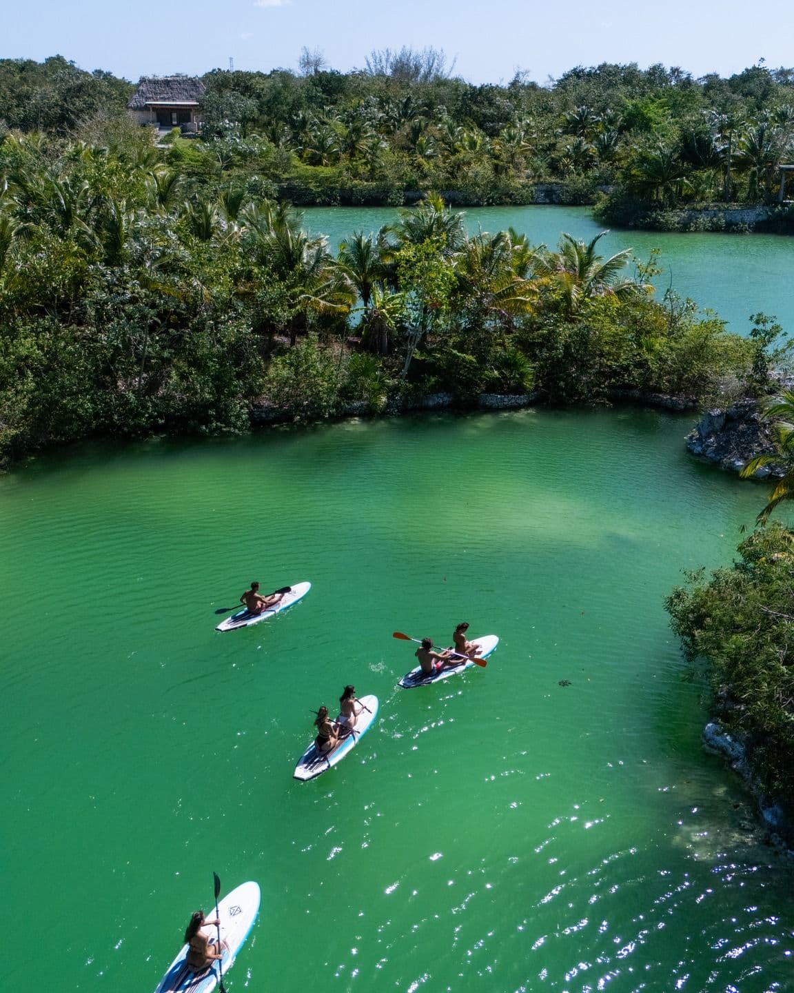 best of the best 2026 Tripadviros mejores hoteles de mexico