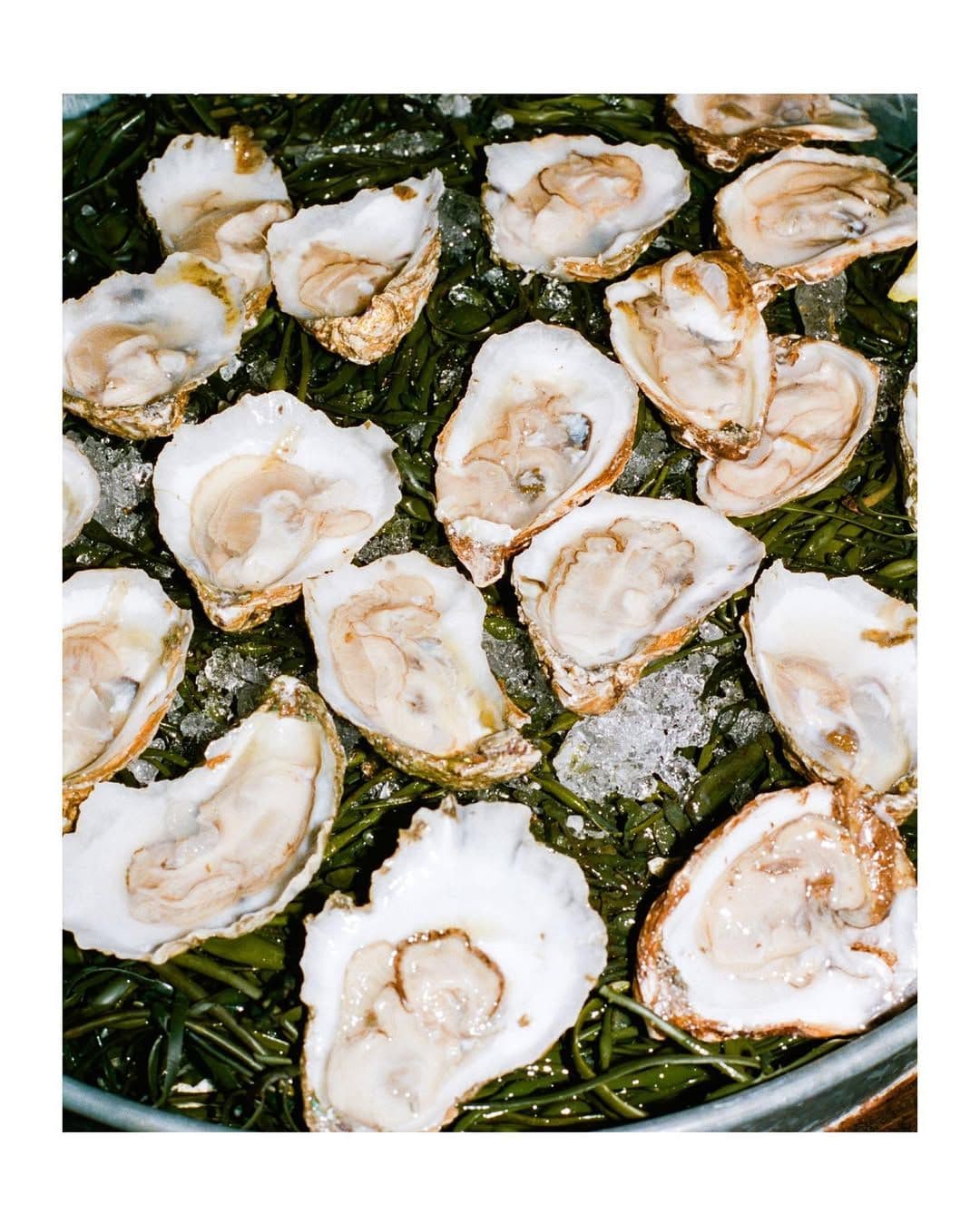 que hacer despues del anillo