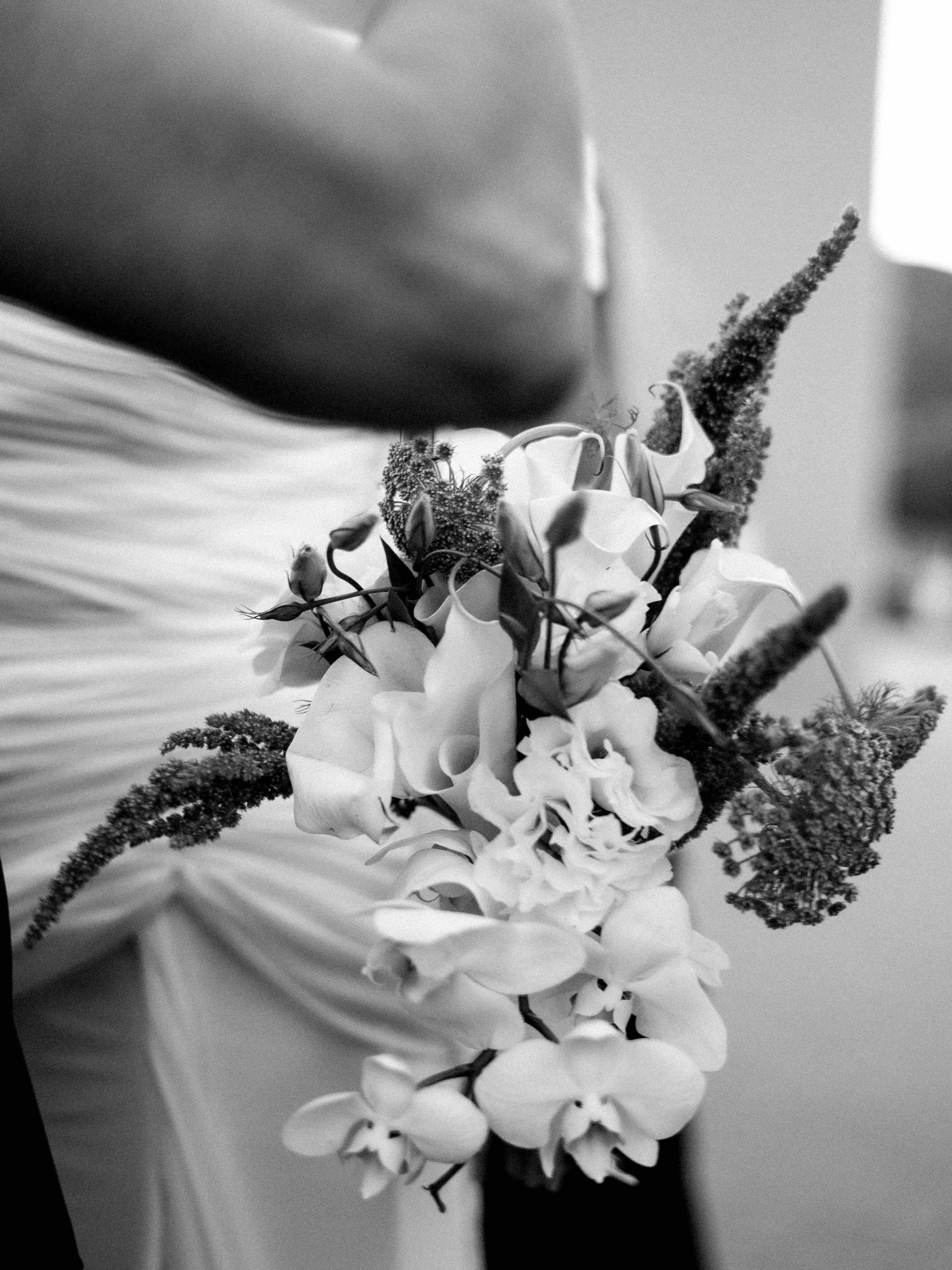 boda moni leon y joselo valle de guadalupe